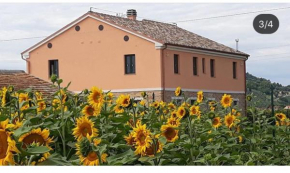 La dolce vita Porto Recanati